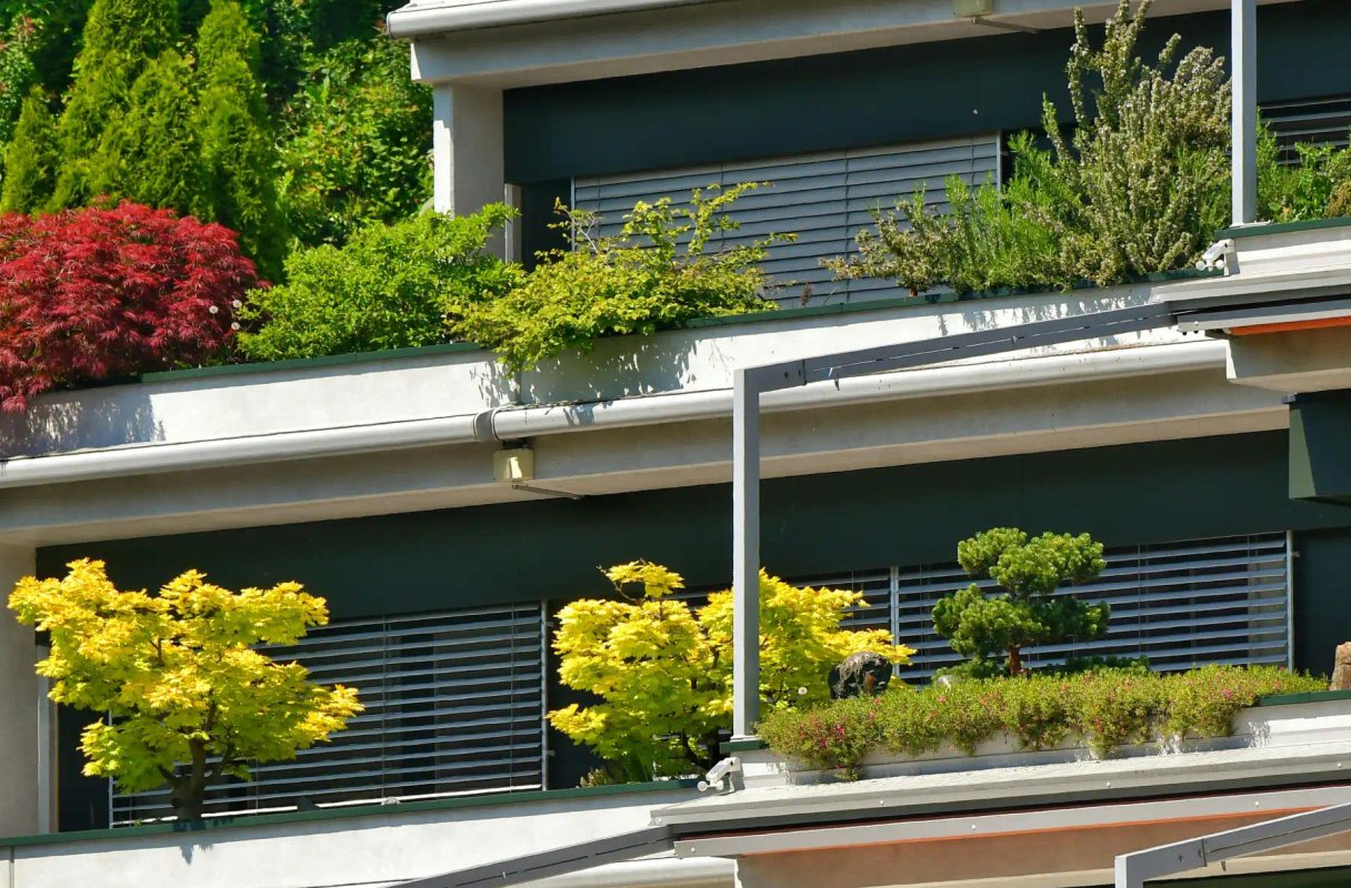 Concrete sidewalk installation by West Coast Construction in the Bay Area